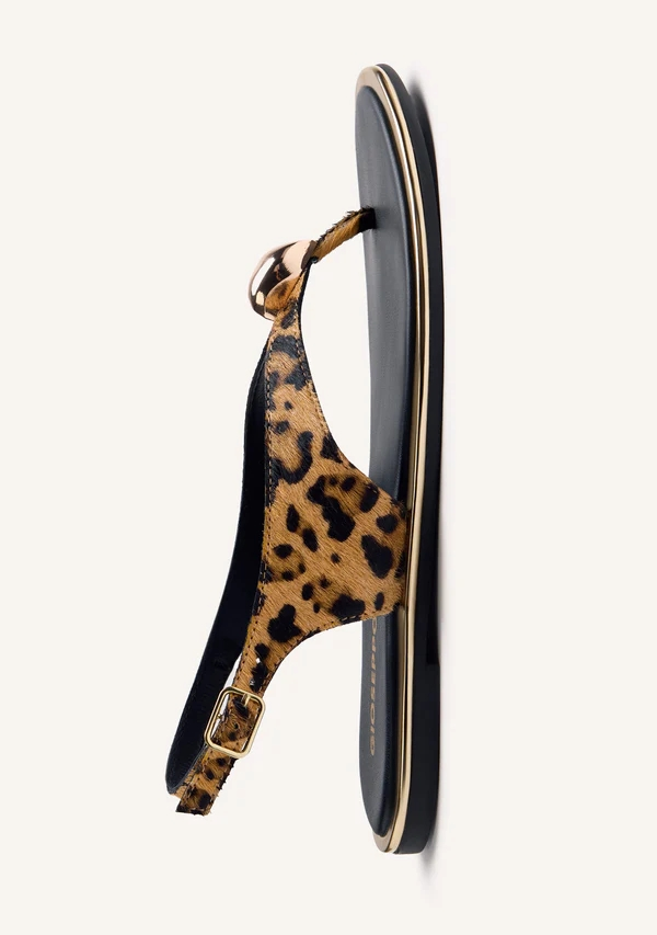 SANDALIA GIOSEPPO - Imagen 4